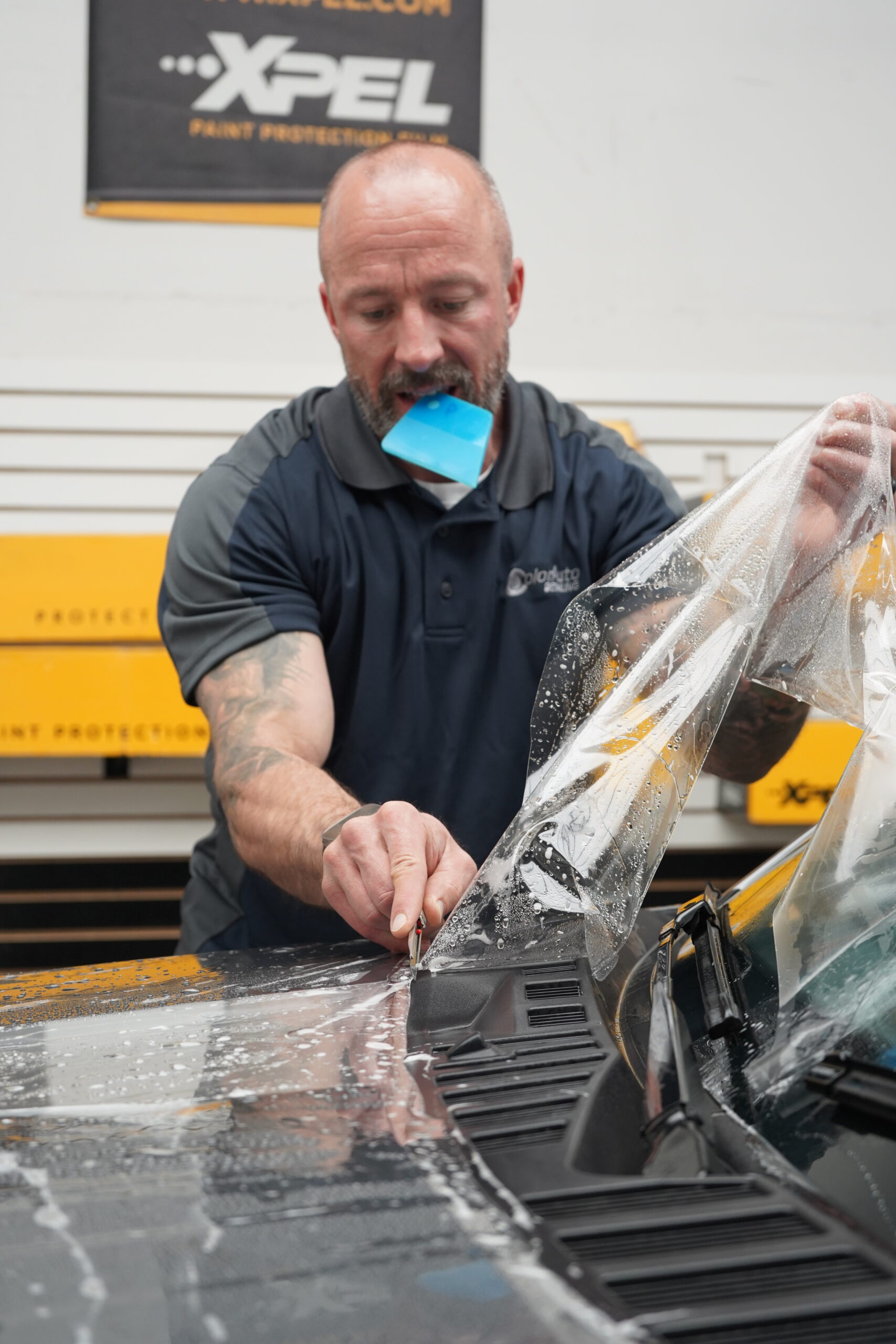 Paint Protection Film